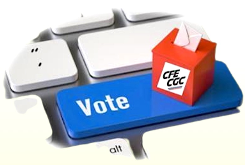 CSE CENTRAL élections du 19 au 26 JUIN 2024
